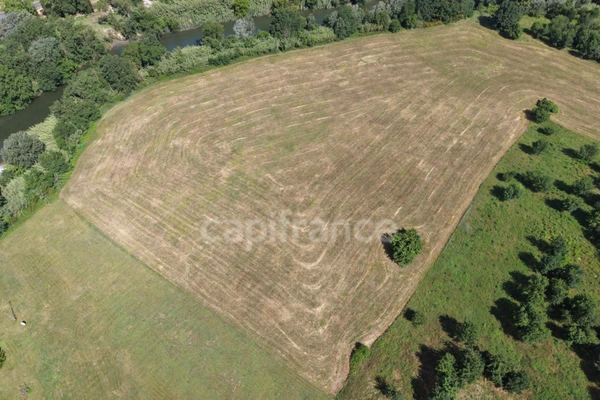 Parcelle agricole 6 400 m² - SOMMIERES (GARD)