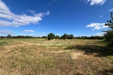 Parcelle agricole 5800 m² - JUNAS (GARD)