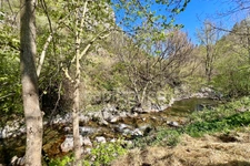 Montagne - Constructions d'activités- 20 hectares - 203 000 m²