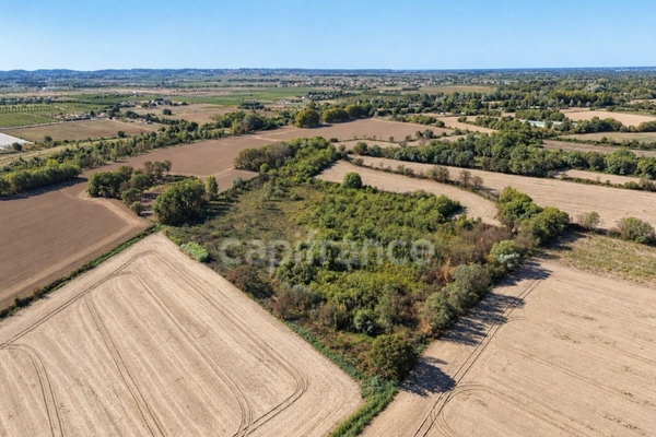 Terrains agricoles 3 hectares