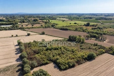 Terrains agricoles 3 hectares