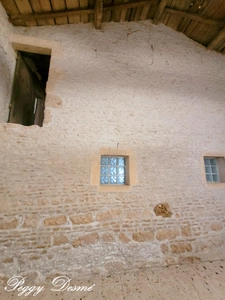 Property for sale 14 rooms SAINT JEAN D'ANGELY (17) - Former wine estate, Building of 940 m2, Manor house, Outbuildings.