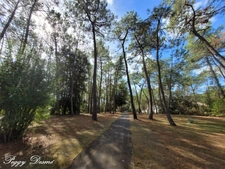 3-room house for sale in LA TRANCHE SUR MER (85) - 300m from the beach, private residence with swimming pool