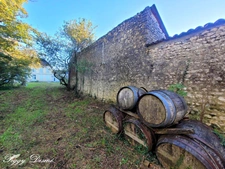 Property for sale 14 rooms SAINT JEAN D'ANGELY (17) - Former wine estate, Building of 940 m2, Manor house, Outbuildings.