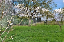 House for sale 11 rooms AIX EN PROVENCE (13), 255 sqm on 5,000 sqm, 5 bedrooms, 3 offices, swimming pool