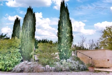 House for sale 11 rooms AIX EN PROVENCE (13), 255 sqm on 5,000 sqm, 5 bedrooms, 3 offices, swimming pool