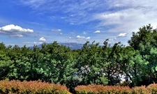 Maison à vendre 7 pièces à 20mn au sud d'AIX EN PROVENCE (13), 170 m2 sur 1 200 m2, vue Sainte Victoire, piscine