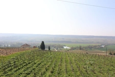 VENTEUIL(51) Maison à vendre 8 pièces avec une vue exceptionnelle sur le vignoble de la vallée de la marne