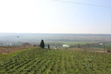 VENTEUIL(51) Maison à vendre 8 pièces avec une vue exceptionnelle sur le vignoble de la vallée de la marne
