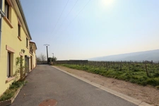 VENTEUIL(51) Maison à vendre 8 pièces avec une vue exceptionnelle sur le vignoble de la vallée de la marne