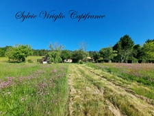 Maison de plain-pied - 5 pièces - 3 chambres - SAINT PIERRE D'EYRAUD (24) - Terrain 35251 m²