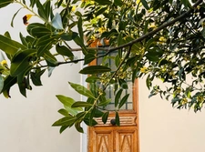 Maison à vendre 5 pièces - Petite Garenne - COLOMBES 