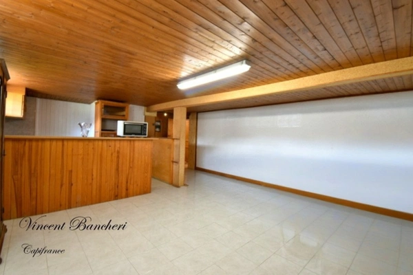 Appartement à vendre T2 de plus de 70 m² à AMANCY (74)