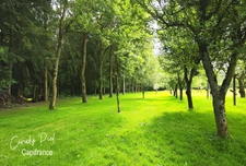 Dpt Morbihan (56), for sale QUELNEUC manor P7 of 295 m² - Land of 27,103 m²