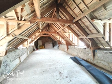 Dpt Morbihan (56), for sale QUELNEUC manor P7 of 295 m² - Land of 27,103 m²
