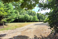 Dpt Morbihan (56), for sale QUELNEUC manor P7 of 295 m² - Land of 27,103 m²