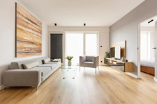 appartement à vendre 2 pièces NICE (06)
