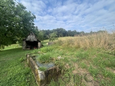 Ensemble de Propriété entouré par 4 hectares secteur Beaulieu-sur-Dordogne 