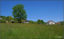 1300 m² of lake view and peace and quiet