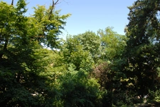 Appartement à vendre 4 pièces, 93 m², 3 chambres  SAINTE FOY LES LYON CENTRE (69)