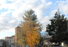 Maison de ville à vendre, 68m², 3 pièces, FRANCHEVILLE LE BAS (69340)