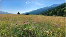 Dpt Pyrénées Orientales (66), à vendre SAINT PIERRE DELS FORCATS terrain - Terrain de 332 m2