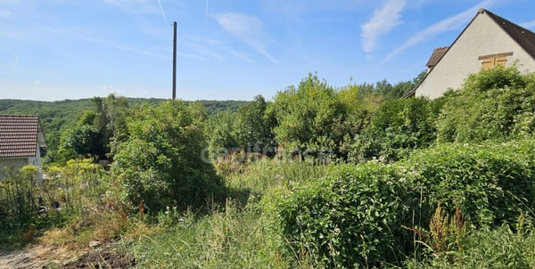 Terrain à Vendre VILLECONIN (91)