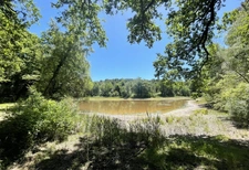 Propriete à vendre 16 pièces proche de BARBEZIEUX SAINT HILAIRE (16) sur 8.5 ha