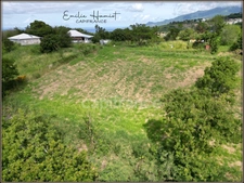 A vendre – TERRAIN CONSTRUCTIBLE DE 1919m² – LE CARBET - Quartier Bel-Event