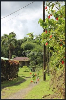 À Vendre – Grand terrain à bâtir de 6 130 m² à Ajoupa-Bouillon (Martinique)