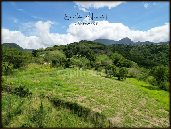 A vendre – TERRAIN CONSTRUCTIBLE DE 1919m² – LE CARBET - Quartier Bel-Event