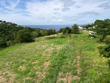 A vendre – TERRAIN CONSTRUCTIBLE DE 1919m² – LE CARBET - Quartier Bel-Event