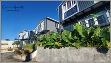 A louer - Local commercial en duplex - Fort de France - Quartier didier
