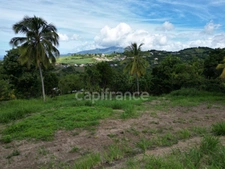 A vendre – TERRAIN CONSTRUCTIBLE DE 1060 m² – LE CARBET - Quartier Bel-Event