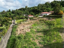 A vendre Terrain de 2822m² avec vue mer - La crique - TRINITE