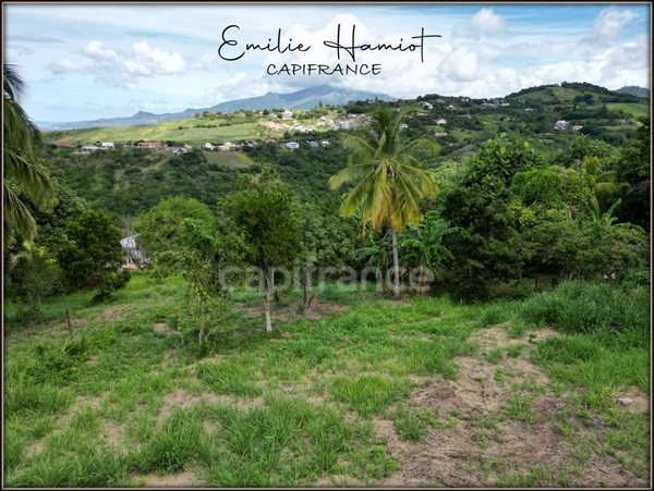 A vendre – TERRAIN CONSTRUCTIBLE DE 1060 m² – LE CARBET - Quartier Bel-Event
