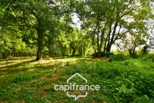 Character house for sale, 12 rooms, SAINT SEVERIN SUR BOUTONNE (17) on 4500m² of wooded land