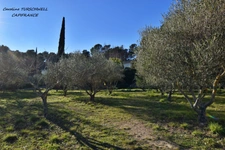 BESSE SUR ISSOLE (83) - SUPERB PROPERTY - 3 BEDROOM HOUSE - POTENTIAL - 1 GARAGE OF 20M² AND 1 OF 116M² - HUGE FLAT PLOT OF 10750M²