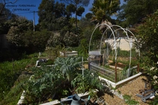 CUERS - PROVENCAL MAS STYLE VILLA 7 ROOMS INCLUDING 4 BEDROOMS AND 1 OFFICE - HUGE GARAGE - LARGE STORAGE - LANDSCAPED GARDEN 2272 M² WITH SWIMMING POOL, JACUZZI AND POOL HOUSE