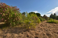 PUGET VILLE (83) - CABANON DE 32M² SUR PARCELLE DE 5748M²