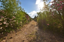 PUGET VILLE (83) - CABANON DE 32M² SUR PARCELLE DE 5748M²