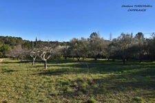 BESSE SUR ISSOLE (83) - SUPERB PROPERTY - 3 BEDROOM HOUSE - POTENTIAL - 1 GARAGE OF 20M² AND 1 OF 116M² - HUGE FLAT PLOT OF 10750M²