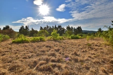 PUGET VILLE (83) - CABANON DE 32M² SUR PARCELLE DE 5748M²