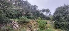 SOLLIES TOUCAS (83) - MAISON A REHABILITER ENTIEREMENT SUR TERRAIN EN RESTANQUES DE 1284M²