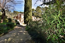 CUERS - PROVENCAL MAS STYLE VILLA 7 ROOMS INCLUDING 4 BEDROOMS AND 1 OFFICE - HUGE GARAGE - LARGE STORAGE - LANDSCAPED GARDEN 2272 M² WITH SWIMMING POOL, JACUZZI AND POOL HOUSE