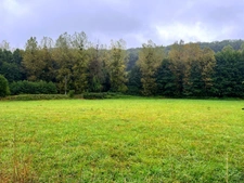 For sale – Building land in Courdemanche (72150) – 3,175 m² in the heart of nature, 650 m from amenities