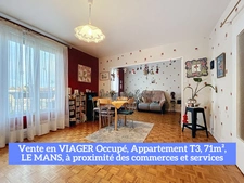 LE MANS – VIAGER OCCUPÉ – APPARTEMENT 3 PIÈCES AVEC BALCON, ASCENSEUR ET CAVE