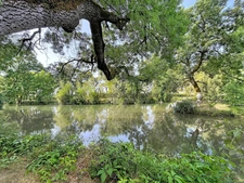 LA CHARTRE SUR LE LOIR (72)-Vue imprenable sur le Loir – Maison familiale rénovée avec jardin d'exception à 500 m du centre-ville