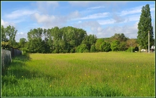Dpt Indre et Loire (37), à vendre CHEMILLE SUR DEME terrain - Terrain de 10 455,00 m²- grange-cave