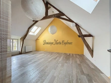  RUILLE SUR LOIR (72), maison 189m²- 7 pièces- terrains de 2845m²- garage- dépendances- puits